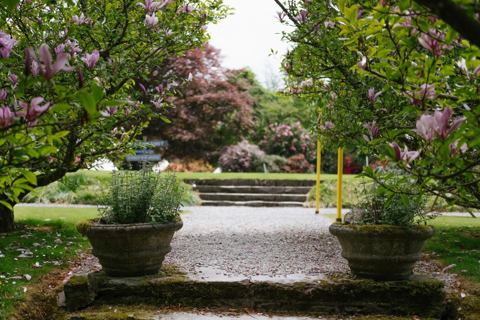Ballyvolane House Fermoy Kültér fotó